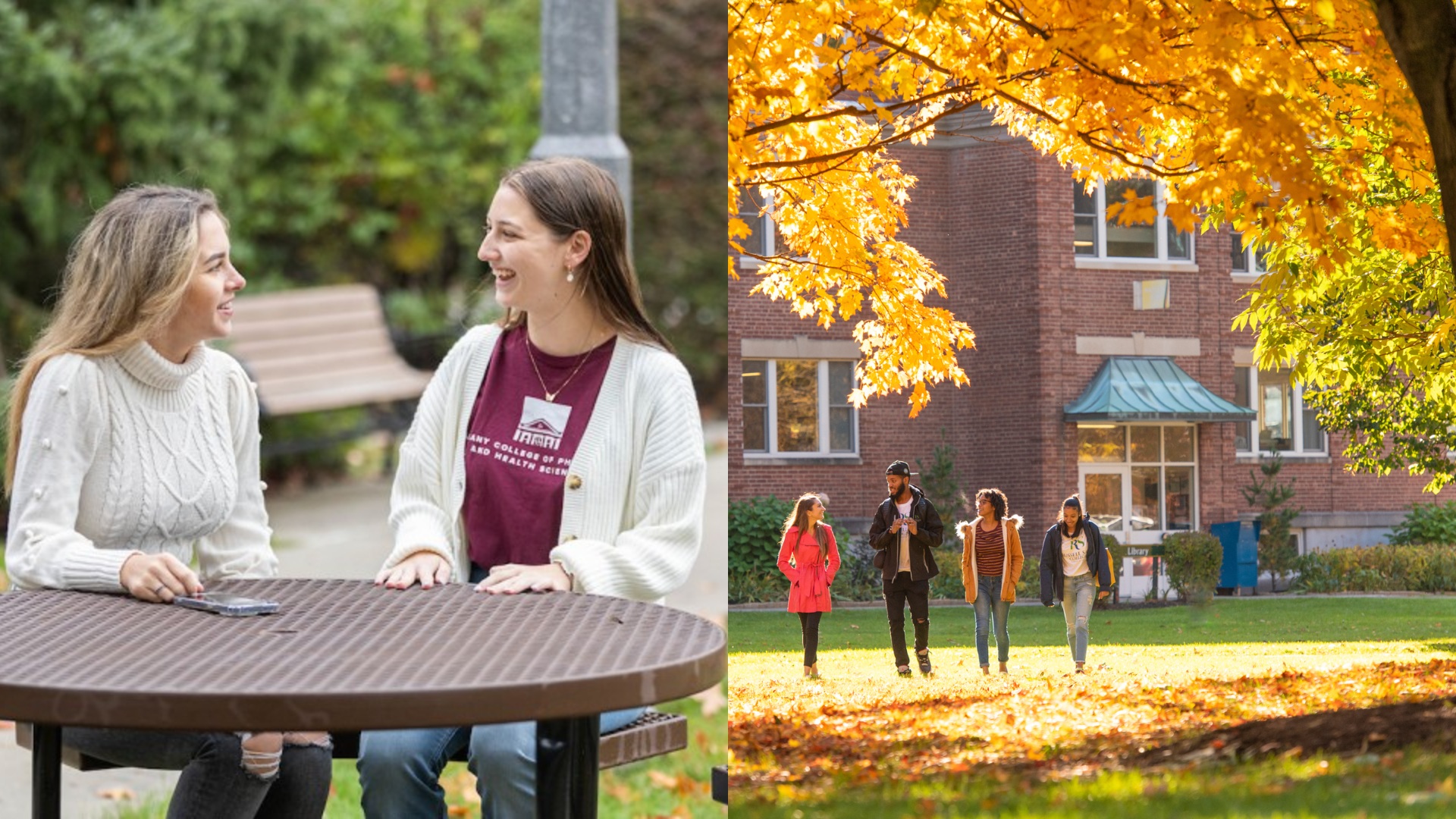 ACPHS and RSC Collage of Students on Campuses